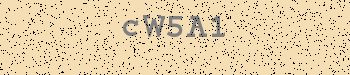 An error has occurred while getting captcha image